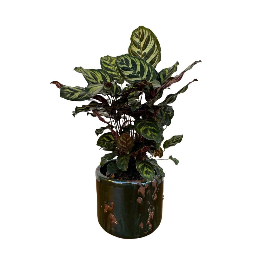 Vaso Cachepot de Cerâmica Texturizada