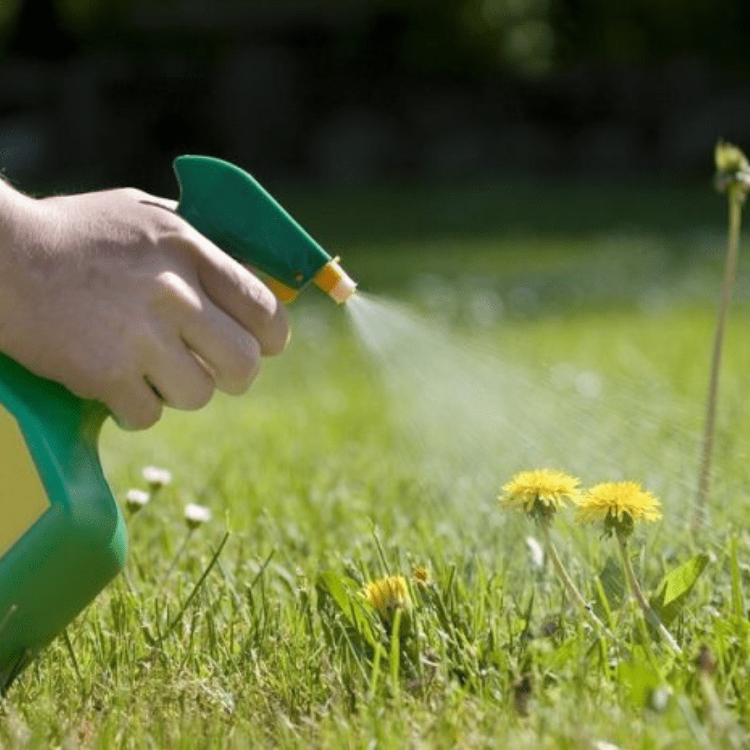 Elimina Mato Karpir Concentrado Seletivo 7,5ml