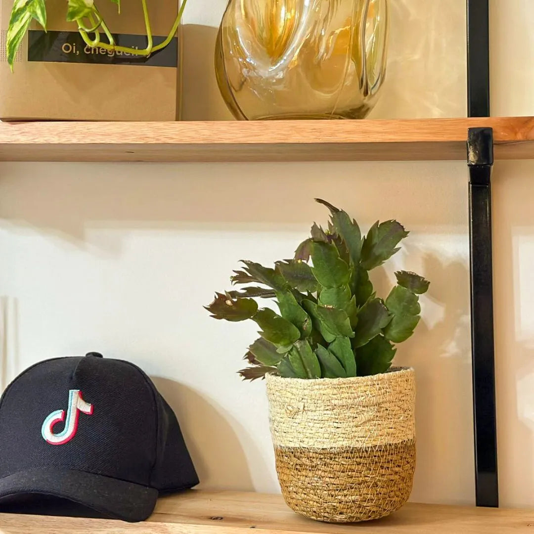 Kit 3 Cachepots Cesto Palha para Decoração