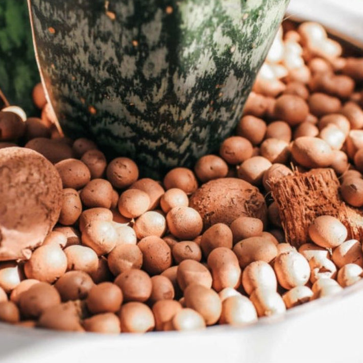 Argila Expandida 10kg