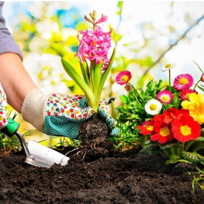 Kit de Adubos Torta de Mamona + Farinha de Ossos