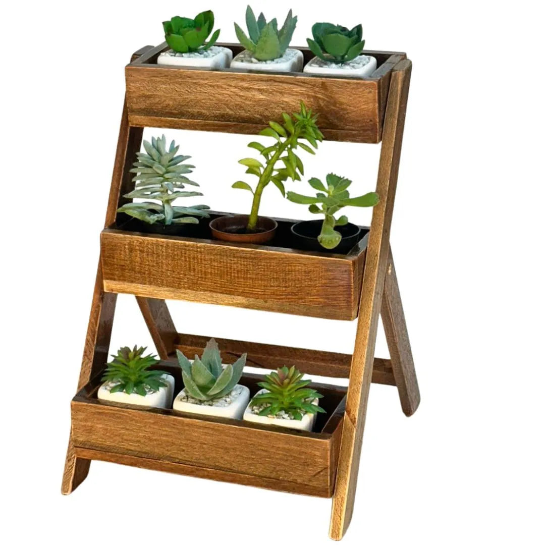 Suporte Vertical para Vasos de Suculenta