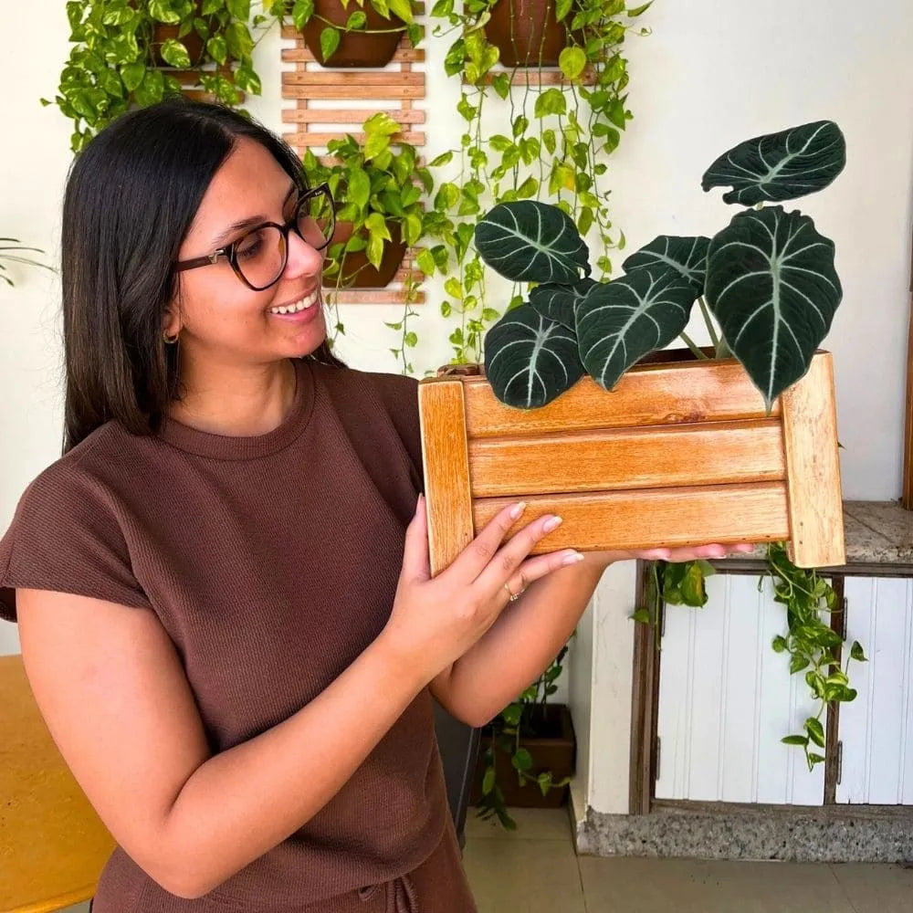 Jardineira de Madeira Ripada - Tamanhos Pequenos