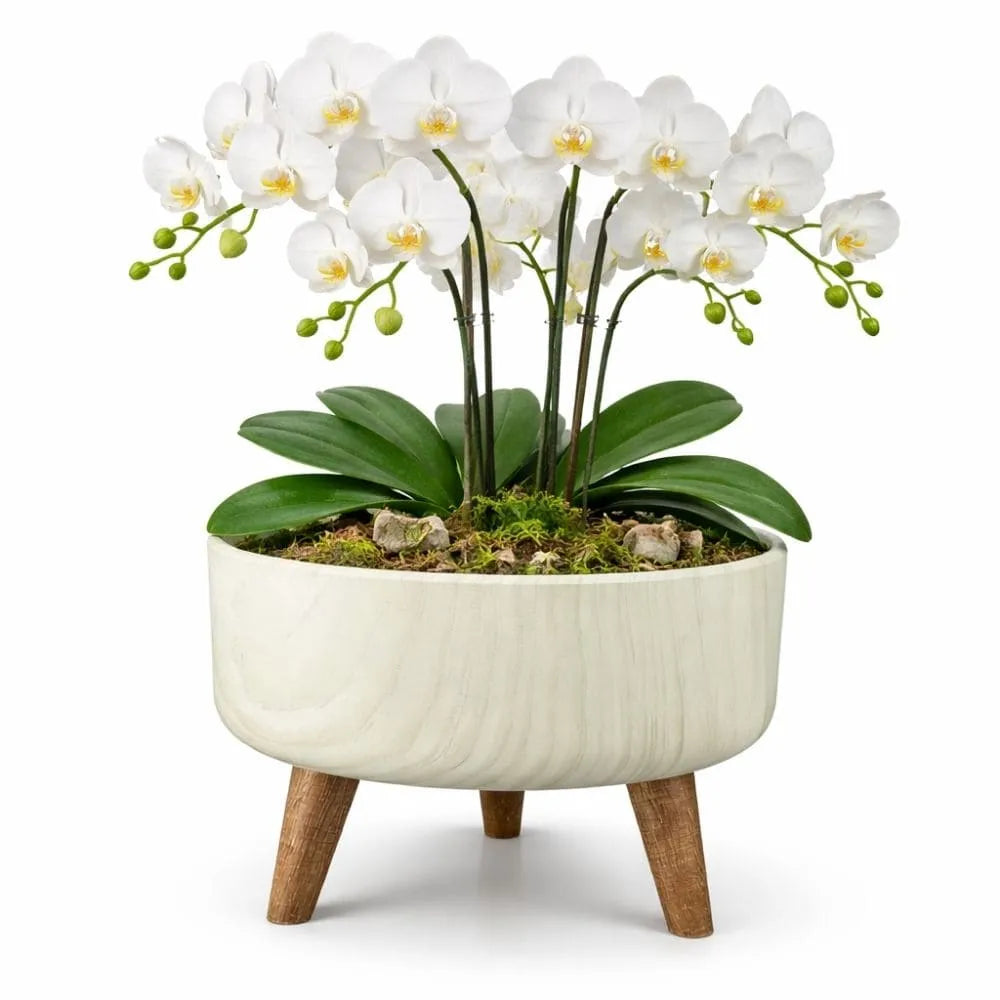 Vaso Bacia Linha Genebra com Tripé de Madeira