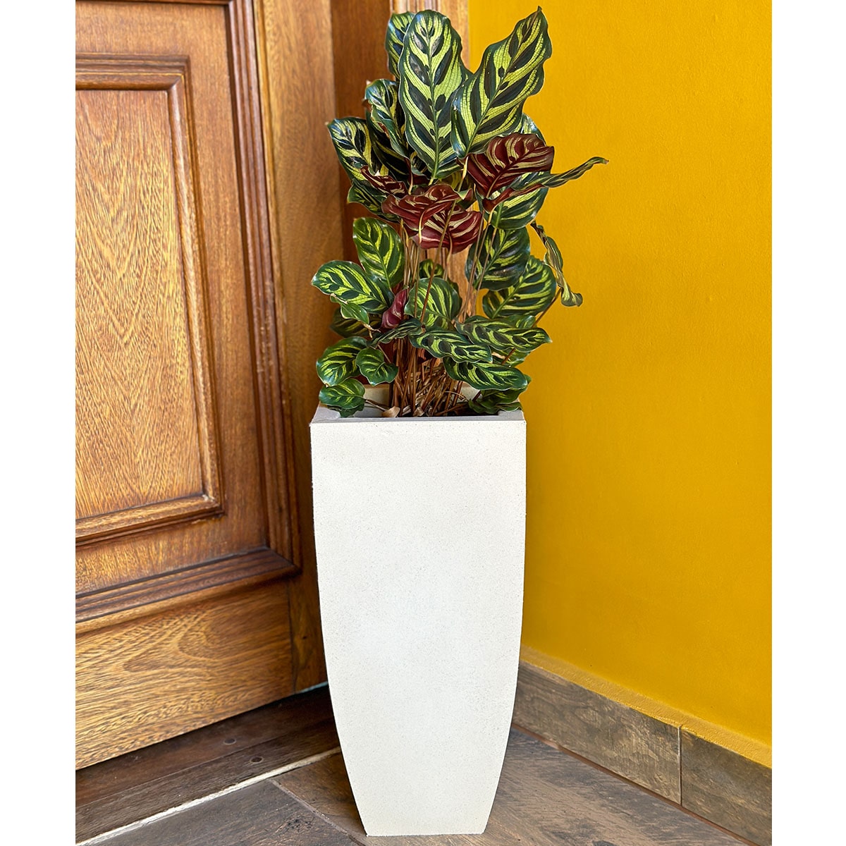 Vaso Fino para Plantas E Decoração de Ambientes Internos
