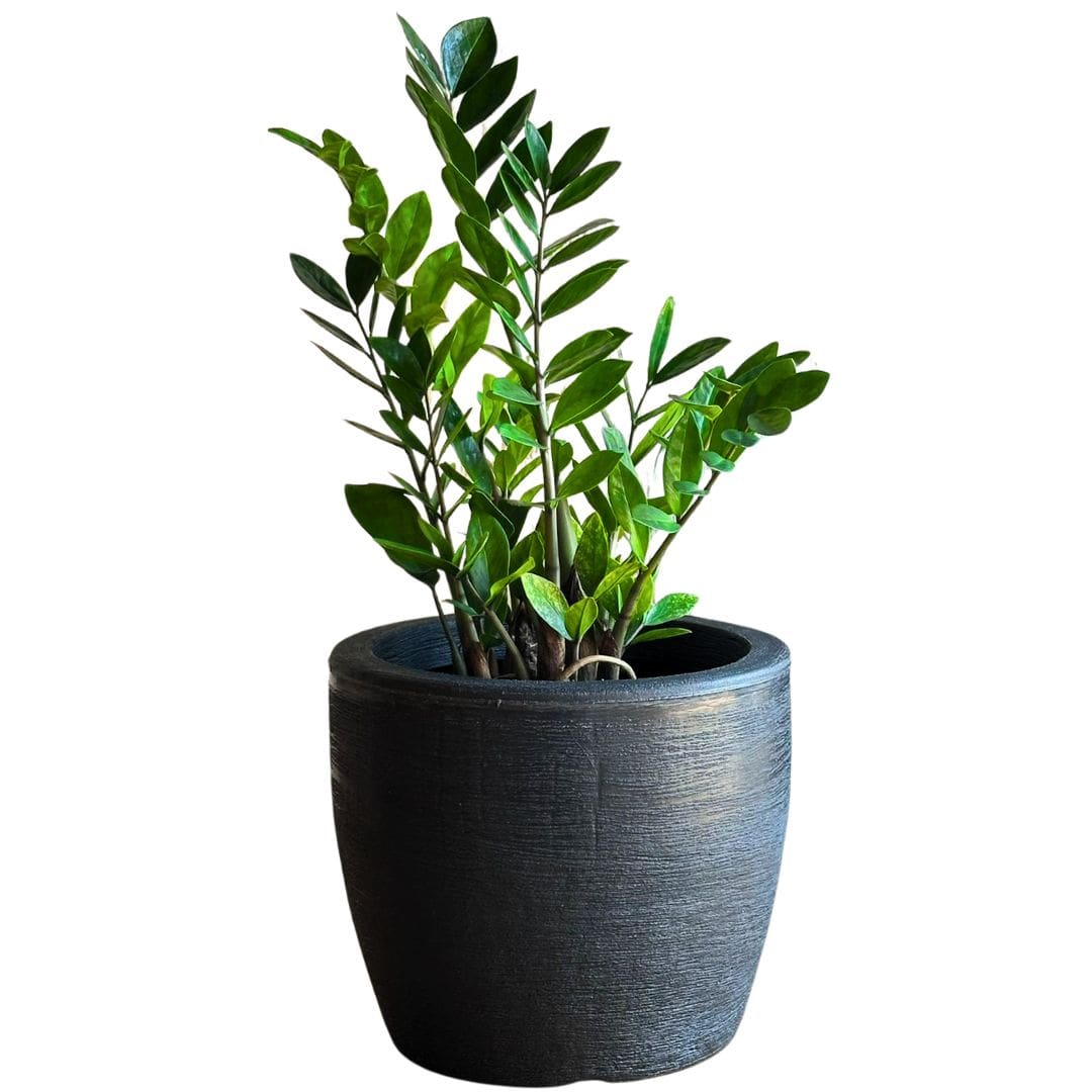 Kit 3 Vasos Decorativos em Polietileno