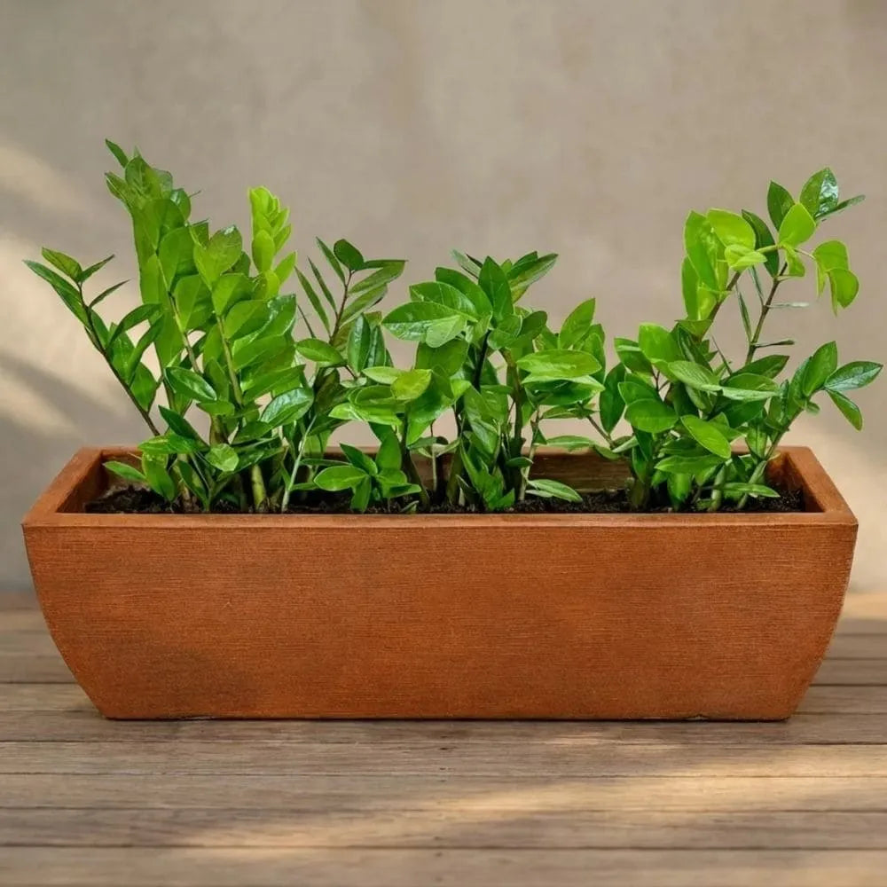 Jardineira Viena Média em Polietileno