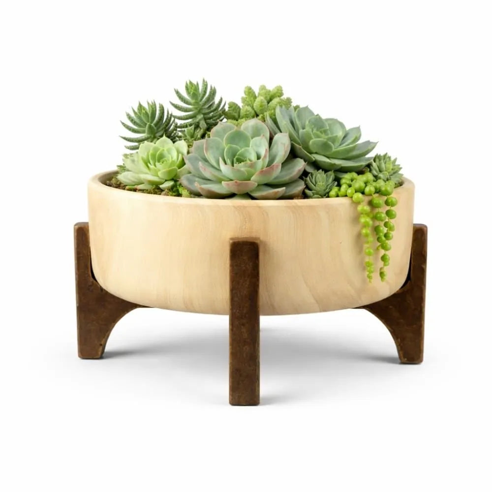 Vaso Bacia Linha Genebra com Suporte de Madeira
