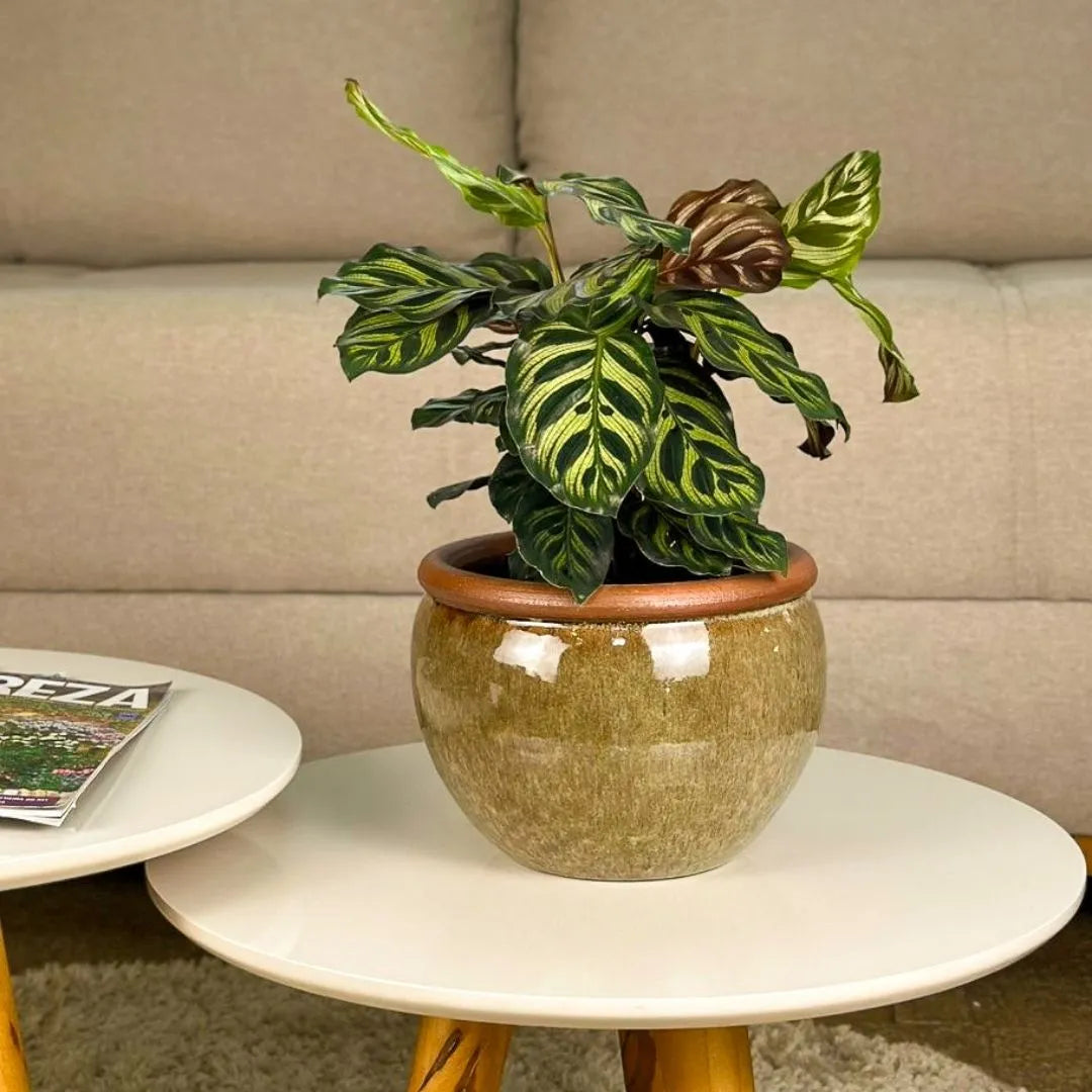 Vaso Cachepot em Cerâmica Esmaltada 18,5cm