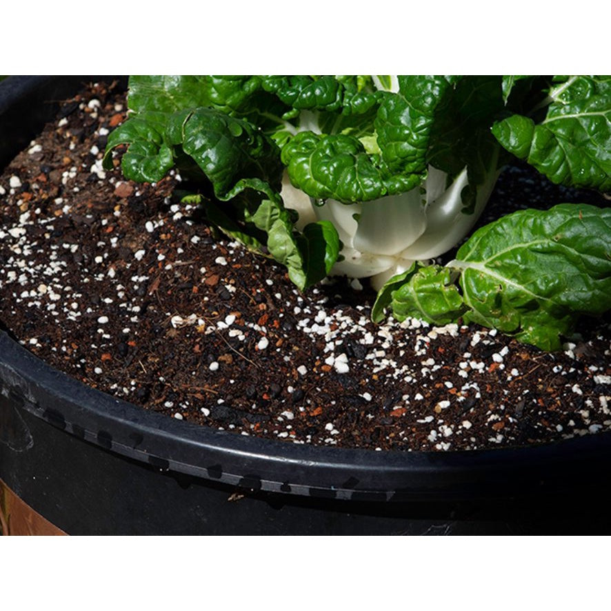 Perlita Expandida Substrato para Jardinagem 3L