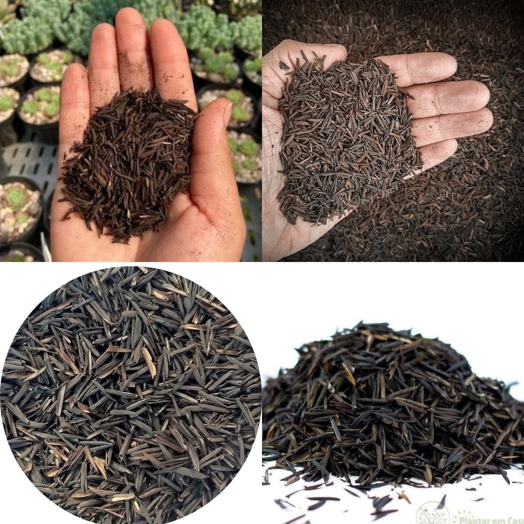 Kit da Carina Para Plantio de Mudinhas - O Melhor Substrato