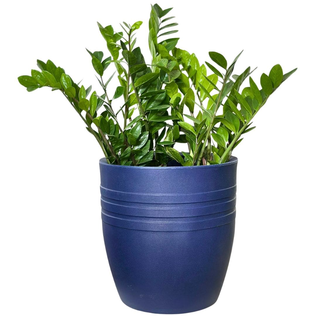 Vaso Mônaco Texturizado em Polietileno