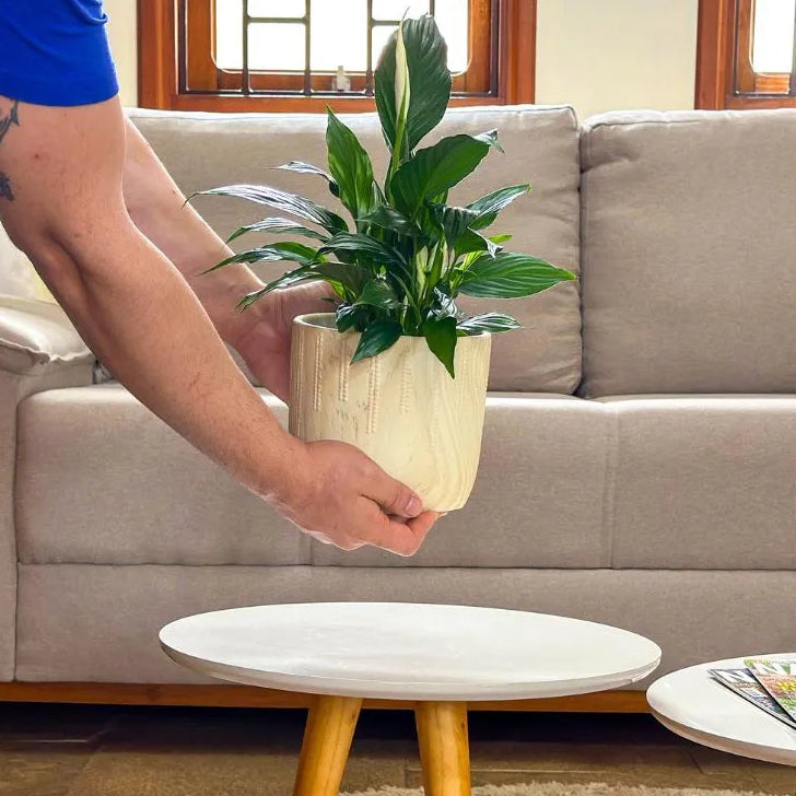 Vaso Cachepot Linha Genebra com Tripé de Madeira