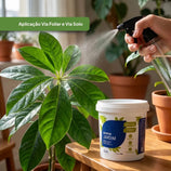 Adubo  Para Plantas Fertilizante Avena Jardim 400g