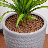 Argila Expandida para Vasos e Jardins 5L