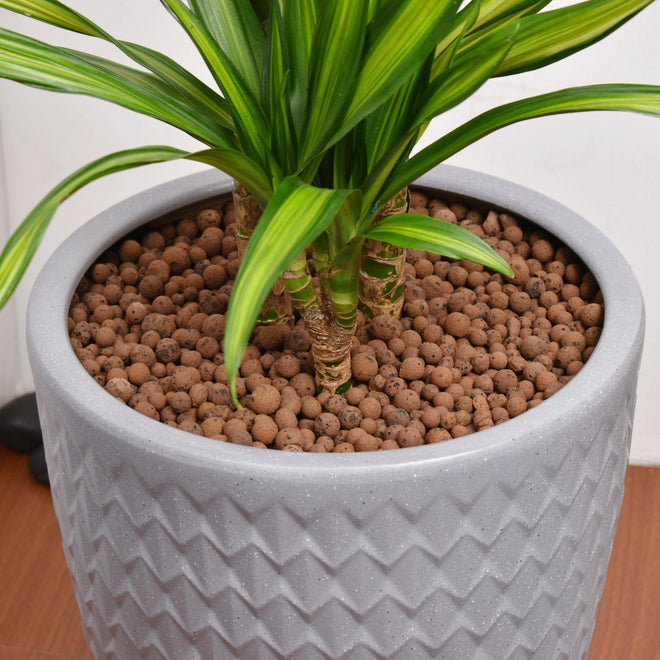 Argila Expandida para Vasos e Jardins 5L
