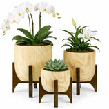 Kit 3 Vasos Genebra com Suporte de Madeira Baixo