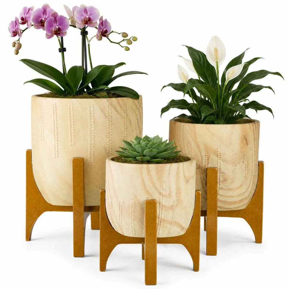 Kit 3 Vasos Genebra com Suporte de Madeira Baixo