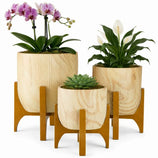 Kit 3 Vasos Genebra com Suporte de Madeira Baixo