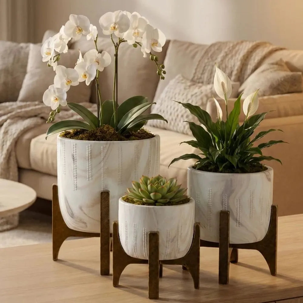 Kit 3 Vasos Genebra com Suporte de Madeira Baixo