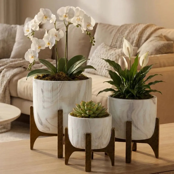 Kit 3 Vasos Genebra com Suporte de Madeira Baixo