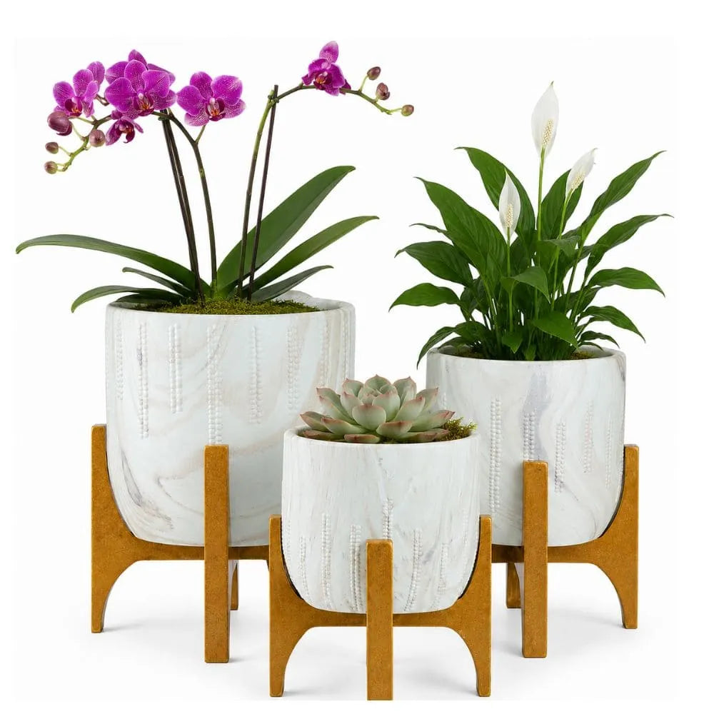 Kit 3 Vasos Genebra com Suporte de Madeira Baixo