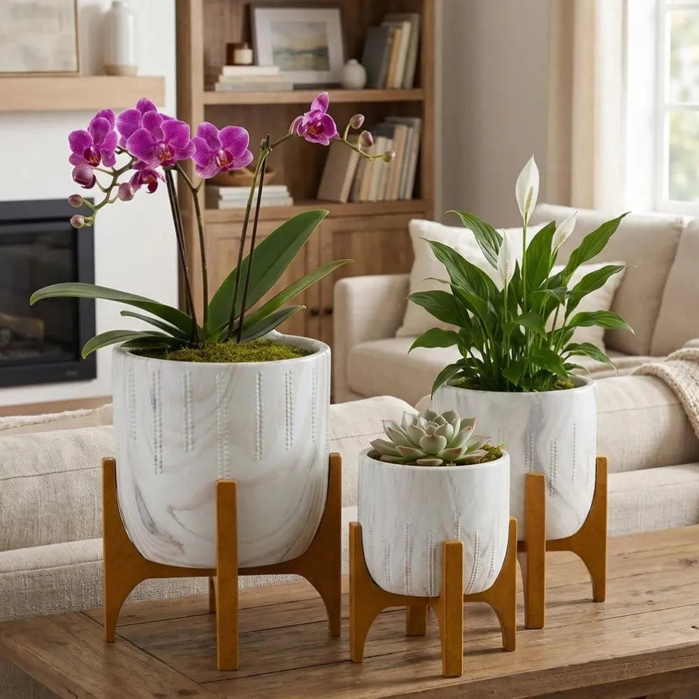 Kit 3 Vasos Genebra com Suporte de Madeira Baixo
