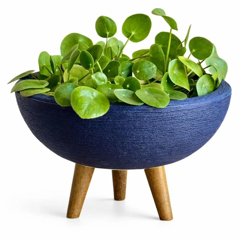 Vaso Bacia com Tripé de Madeira