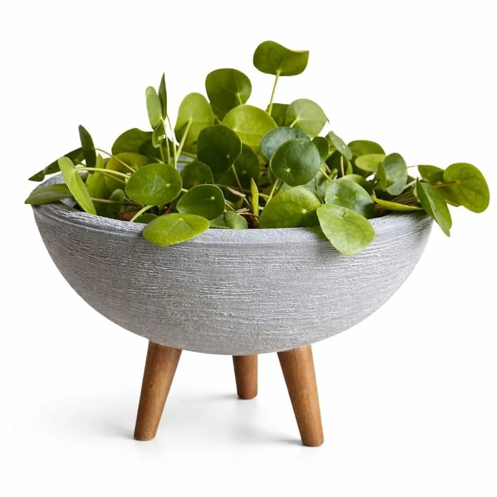 Vaso Bacia com Tripé de Madeira