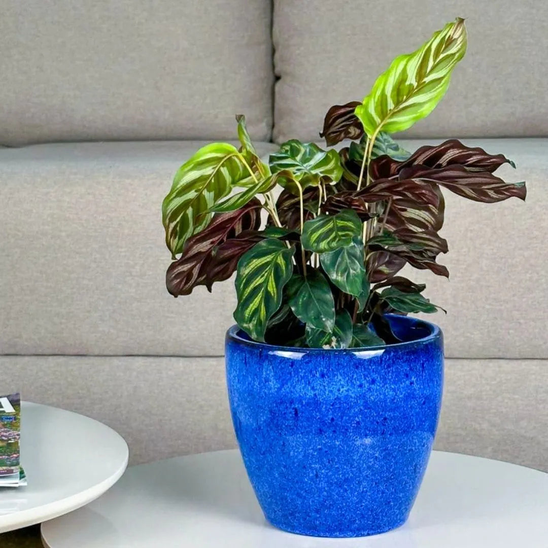 Vaso Cachepot de Cerâmica Esmaltado Brilhante