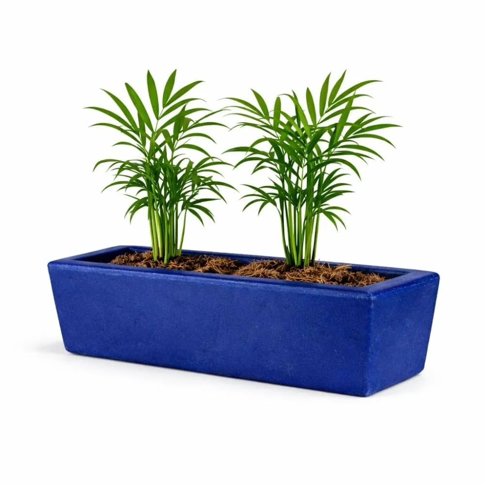 Jardineira Havana Retangular em Polietileno