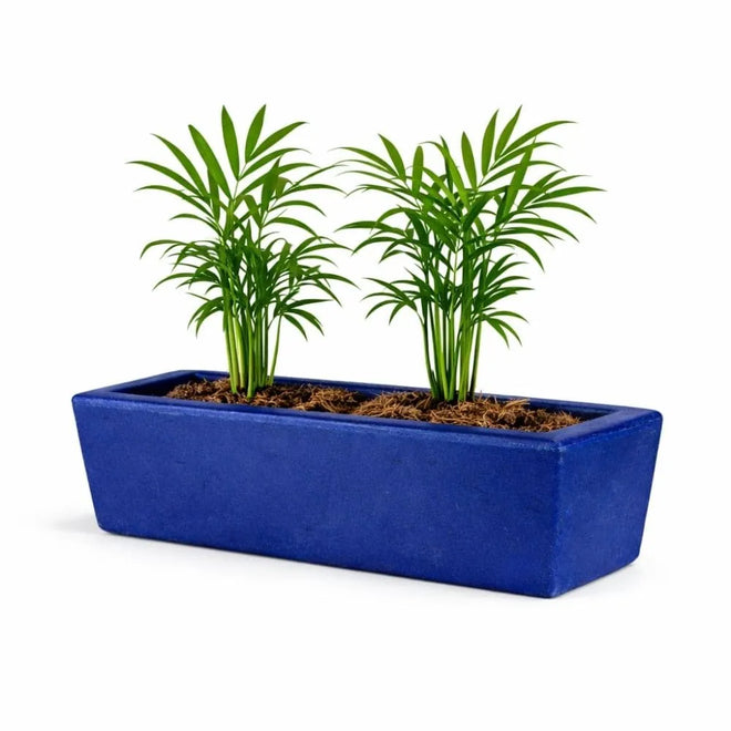 Jardineira Havana Retangular em Polietileno 37x15cm