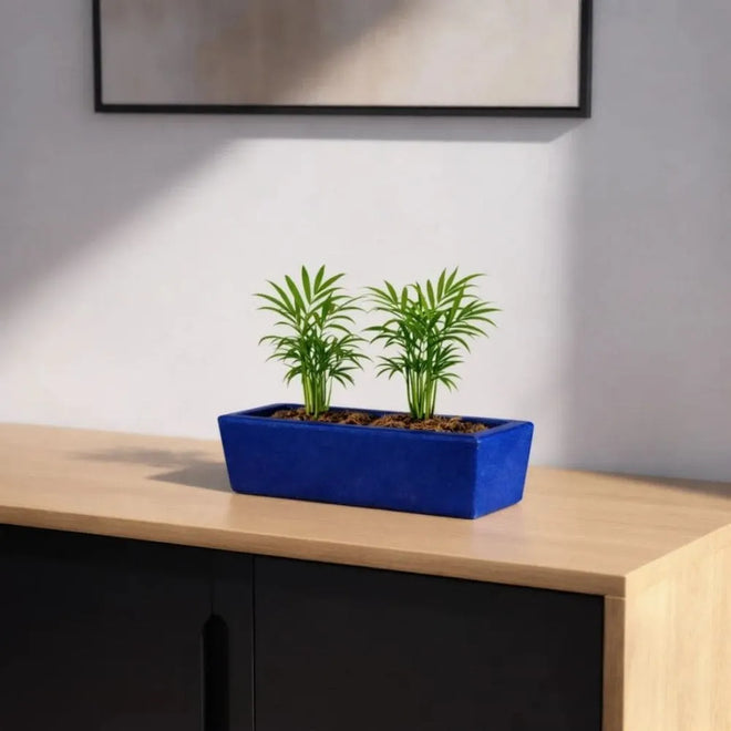 Jardineira Havana Retangular em Polietileno 37x15cm