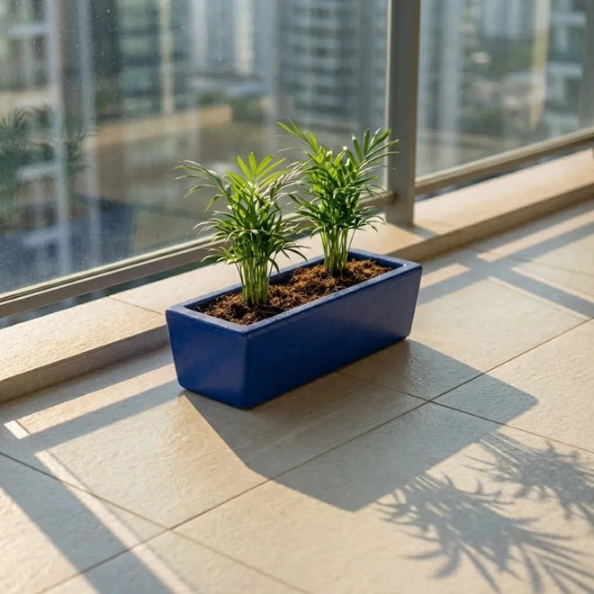 Jardineira Havana Retangular em Polietileno 37x15cm