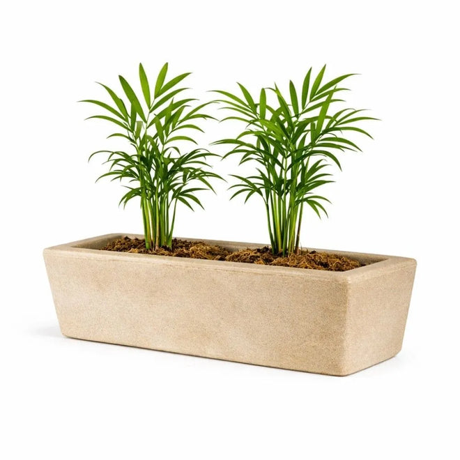 Jardineira Havana Retangular em Polietileno 37x15cm