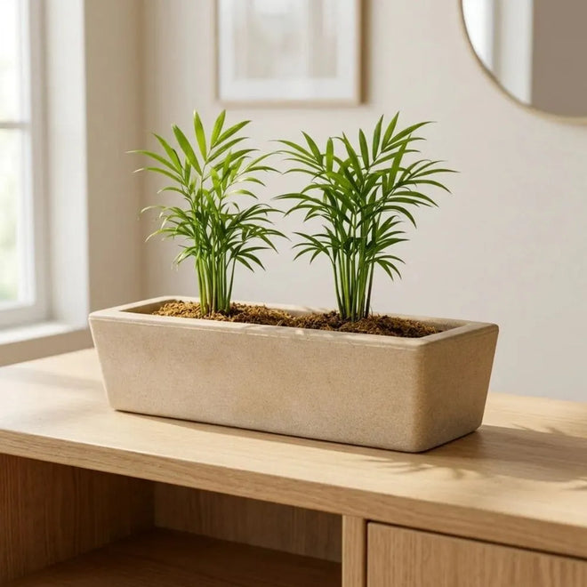 Jardineira Havana Retangular em Polietileno 37x15cm