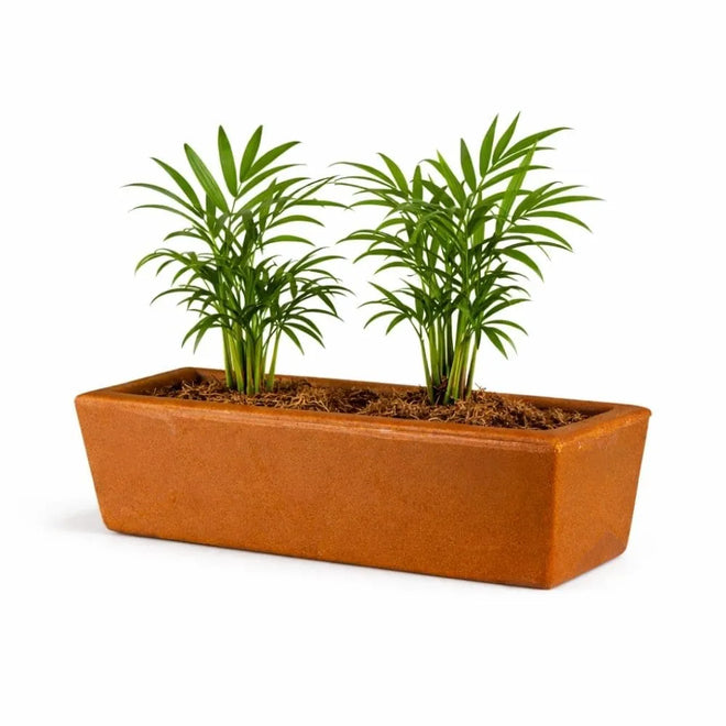 Jardineira Havana Retangular em Polietileno 37x15cm