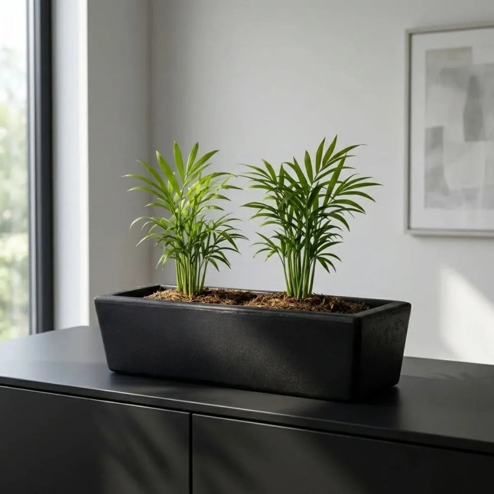 Jardineira Havana Retangular em Polietileno