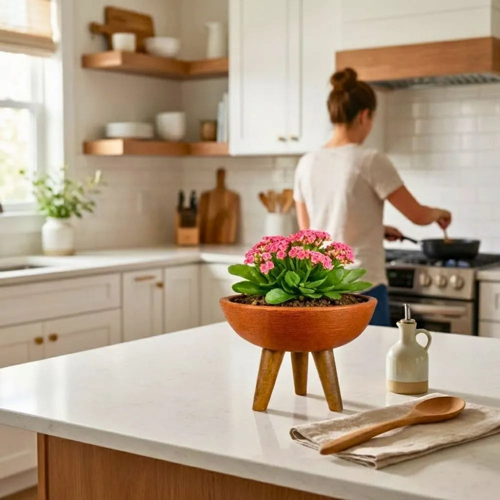 Vaso Bacia com Tripé de Madeira