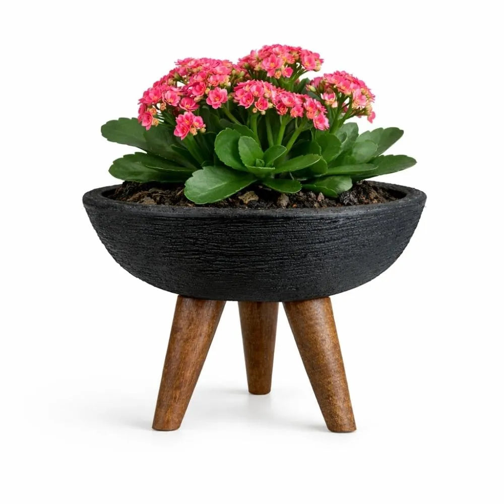 Vaso Bacia com Tripé de Madeira