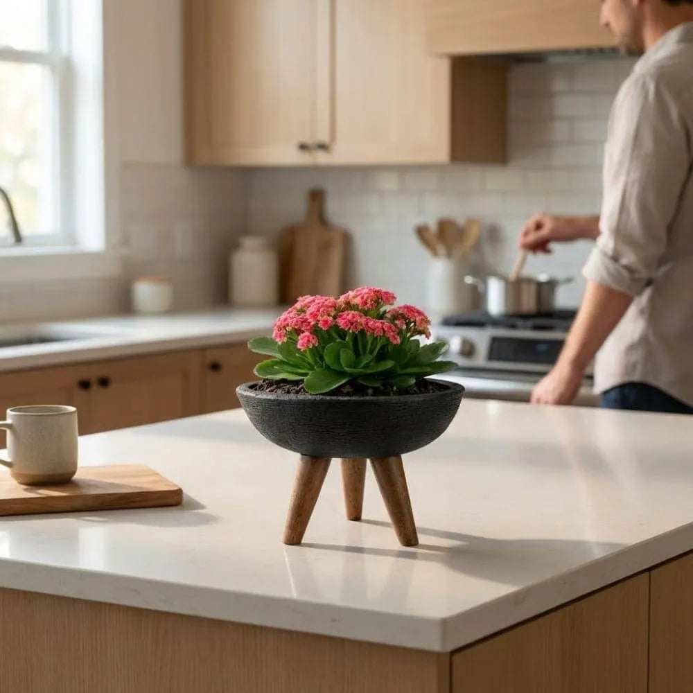 Vaso Bacia com Tripé de Madeira