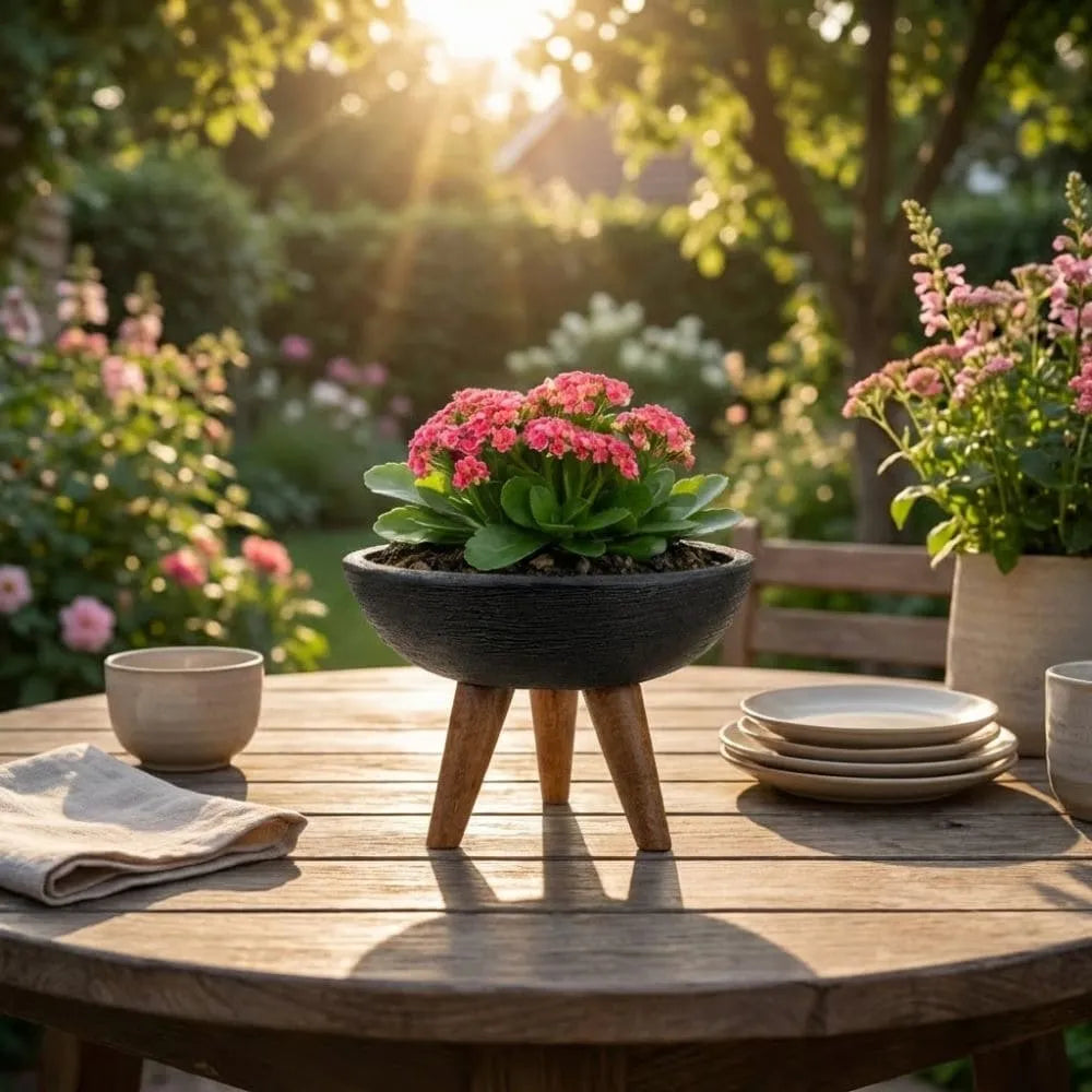 Vaso Bacia com Tripé de Madeira