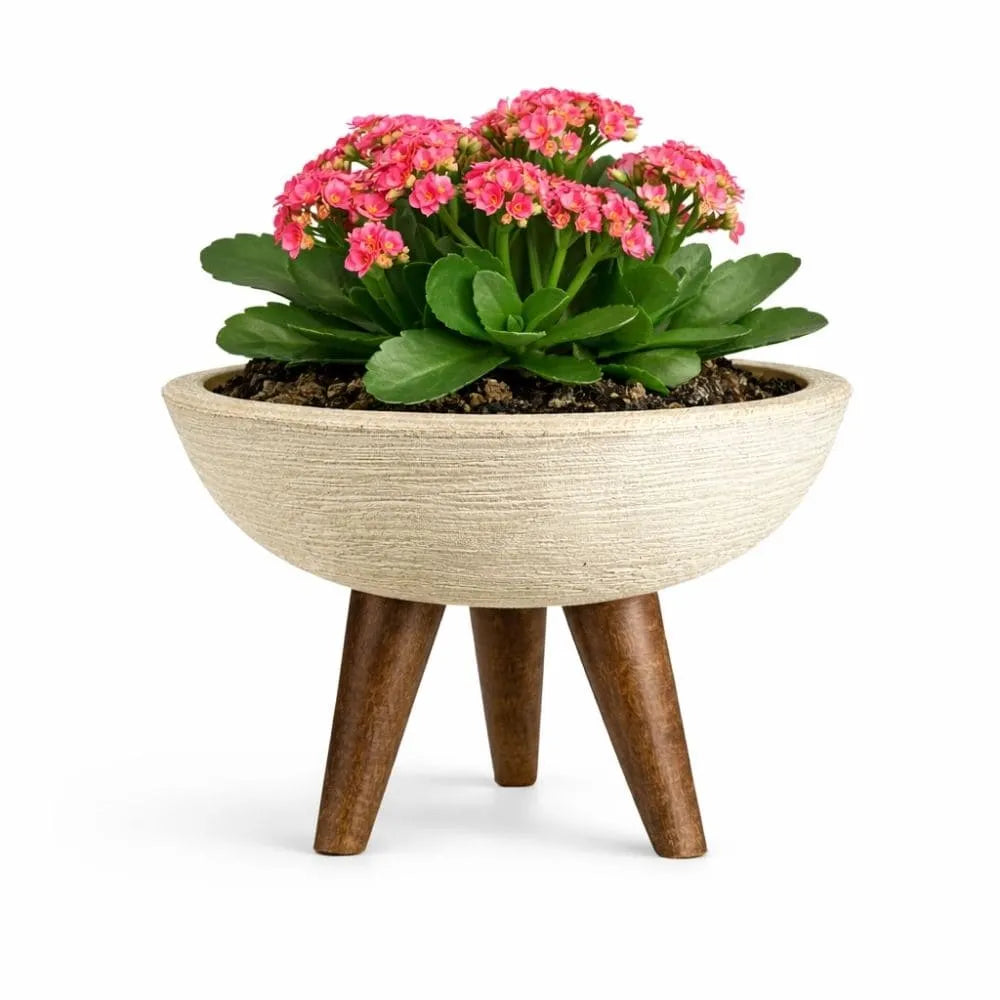 Vaso Bacia com Tripé de Madeira