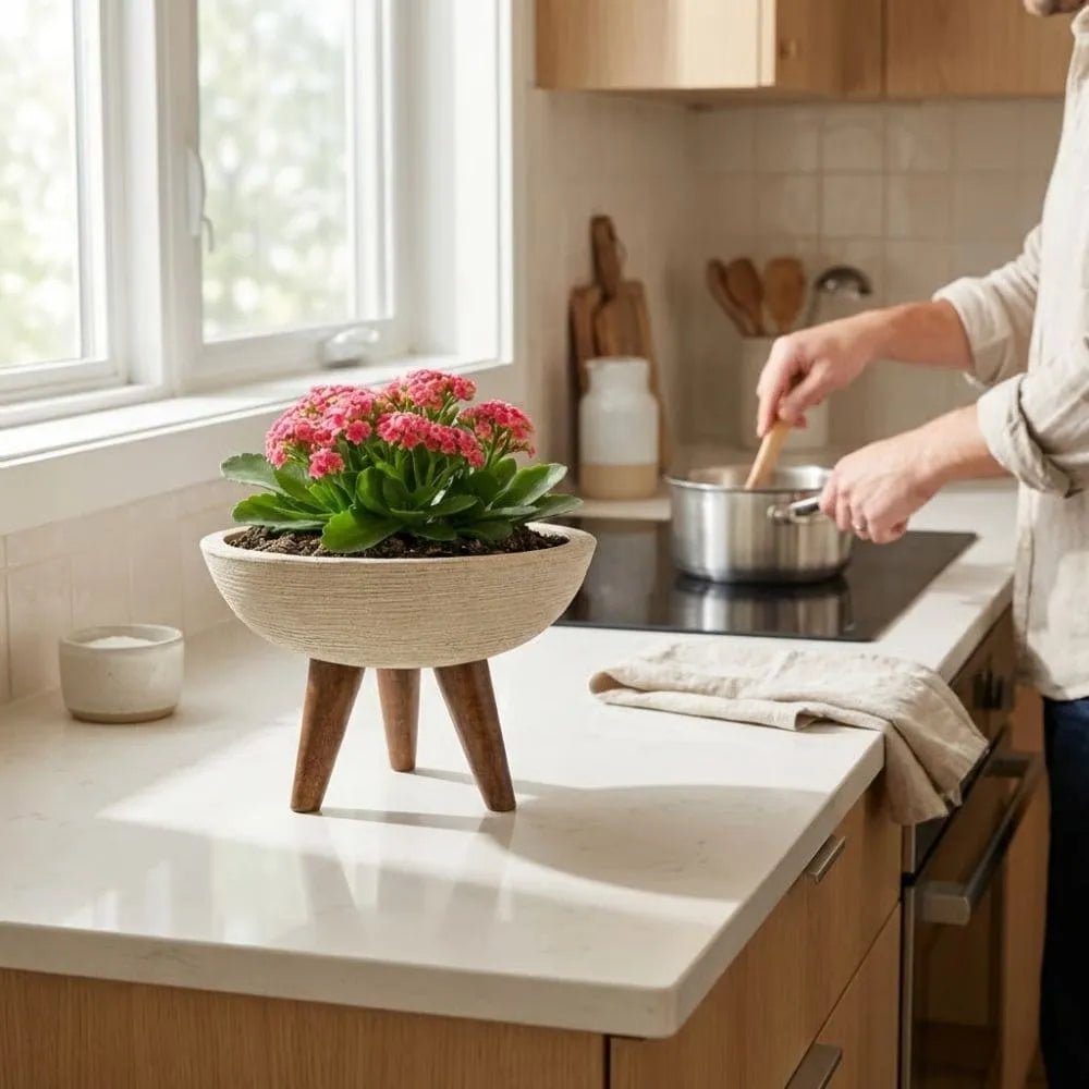 Vaso Bacia com Tripé de Madeira