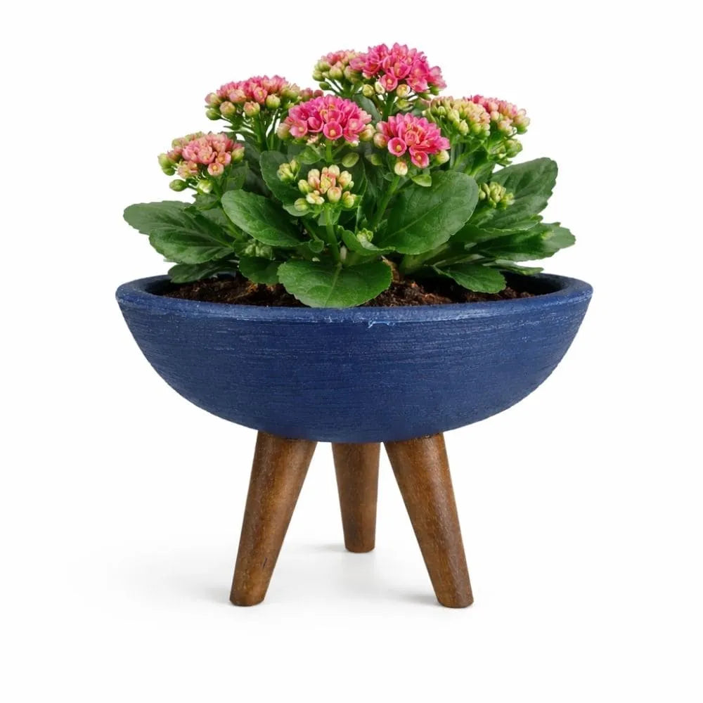 Vaso Bacia com Tripé de Madeira