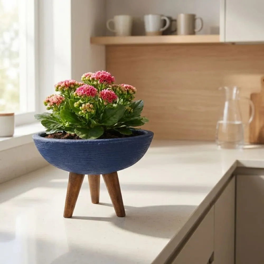 Vaso Bacia com Tripé de Madeira