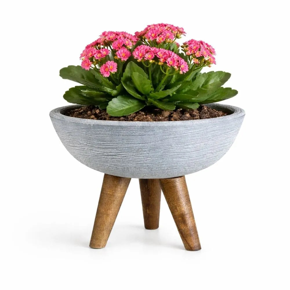 Vaso Bacia com Tripé de Madeira