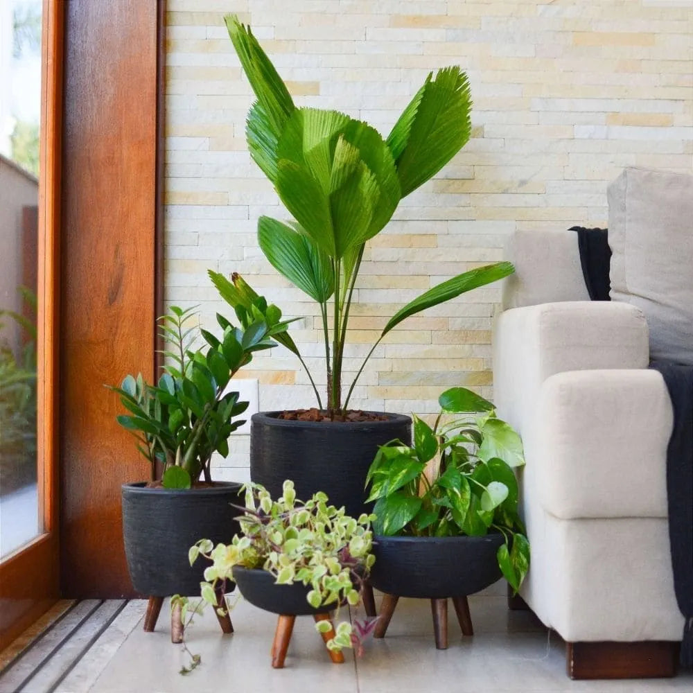 Kit 4 Vasos com Tripé de Madeira