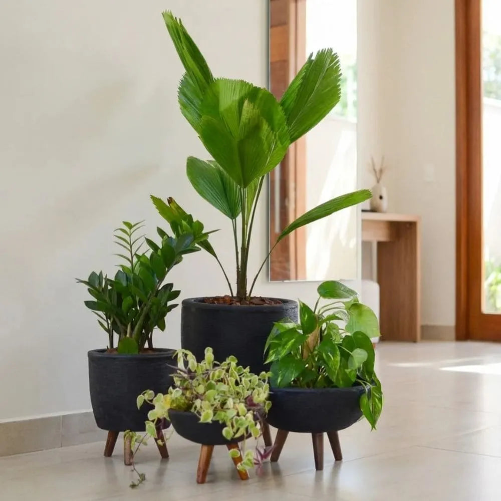 Kit 4 Vasos com Tripé de Madeira