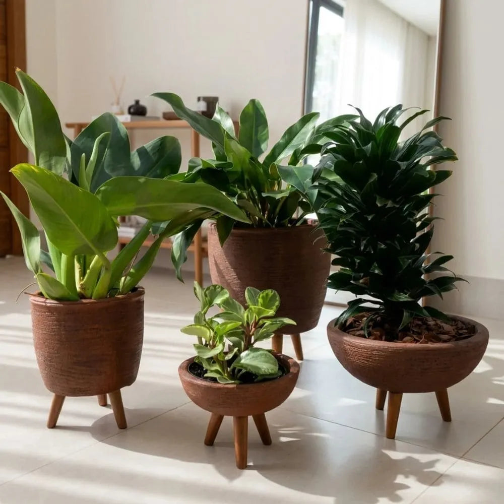 Kit 4 Vasos com Tripé de Madeira